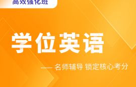 2025年学位英语高效强化班