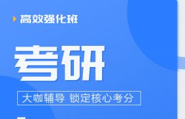 2025年考研《数学三》高效强化班