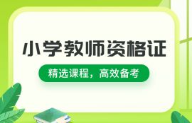 2025小学教师资格领航钻石班