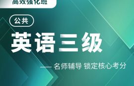 2025年公共英语三级高效强化班