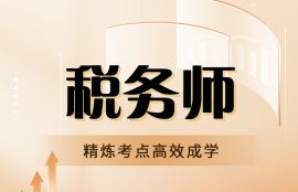 2025年税务师《涉税服务实务》高效强化班