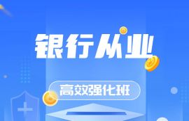 2025年银行从业《公司信贷（初级）》高效强化班