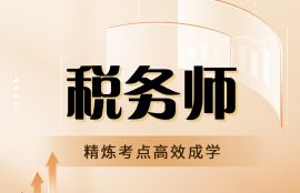 2025年税务师《税法（一）》尊享VIP班