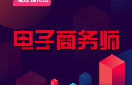 2025年电子商务师高效强化班