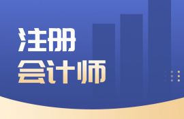 2025年注册会计师《经济法》尊享VIP班