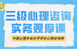 三级实务观摩课程（中国心理学会水平评价心理咨询师）